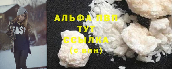дмт Алзамай