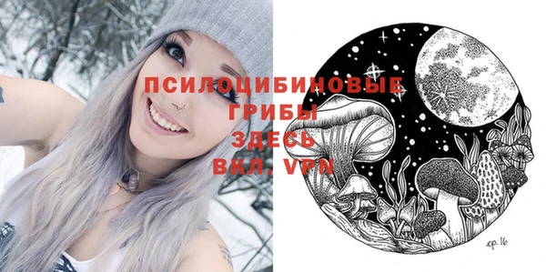 дмт Алзамай
